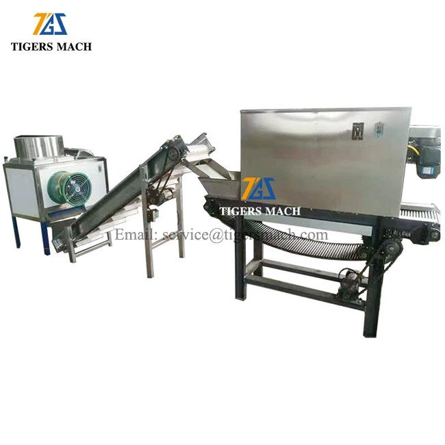 g separator and peeler in garlic powder process line