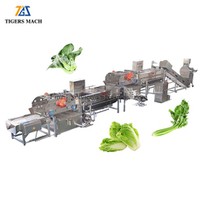 سبزیوں کی دھلائی کی لائن